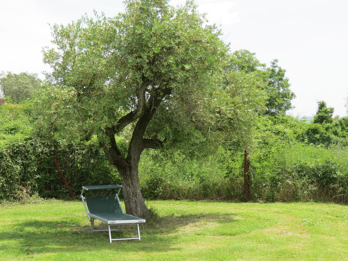 Agriturismo Borgo Del Papa Badia  Εξωτερικό φωτογραφία